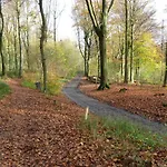 Entre Monts Et Collines Et En Option 4*