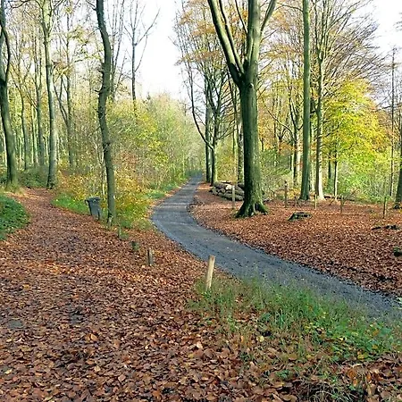 Entre Monts Et Collines Et En Option B&B 4*