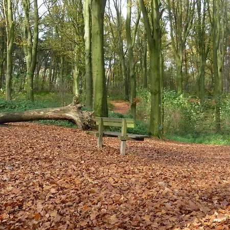 Entre Monts Et Collines Et En Option B&B 4*